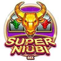 Super Niubi